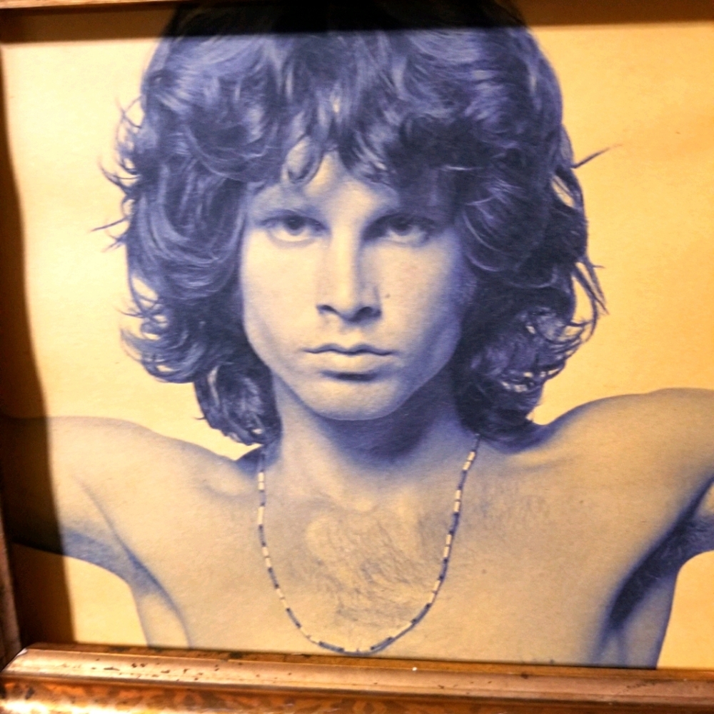 HP Jim Morrison The Doors - Picture 5 of 6